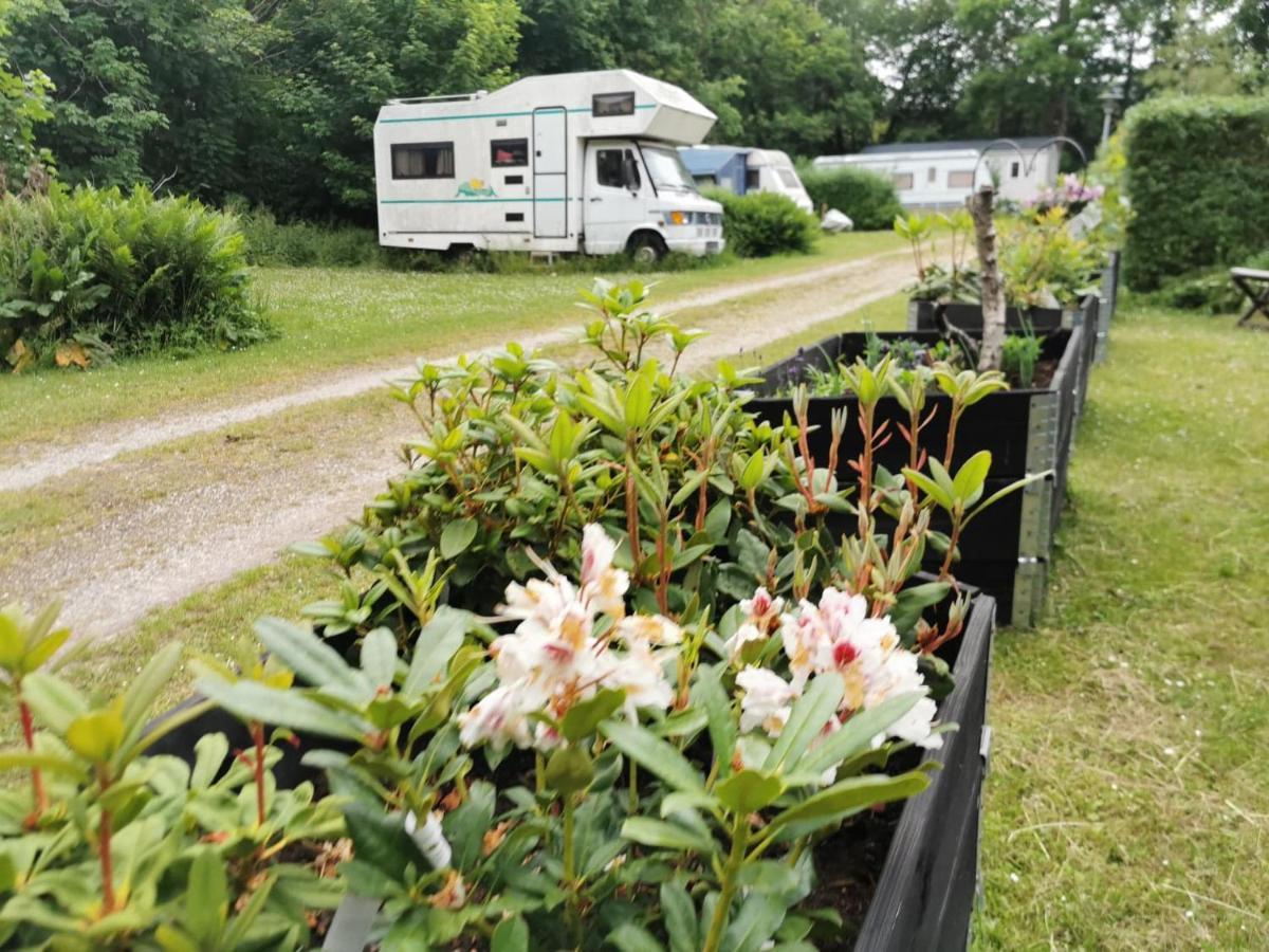 Frederiksvaerk Camping & Hostel Exterior foto