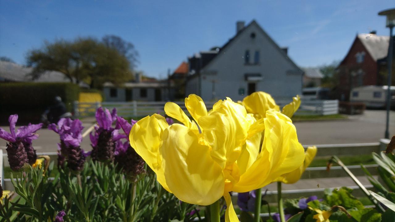Frederiksvaerk Camping & Hostel Exterior foto